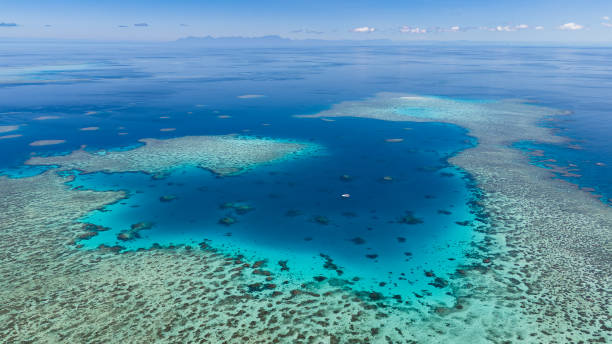 istock Aerial views of Duncan Reef, GBR, Australia 1639403407