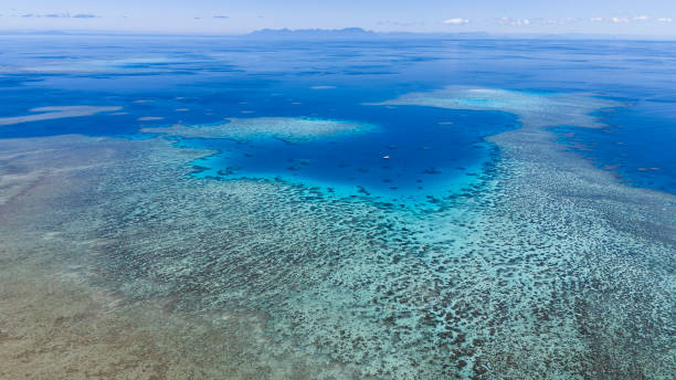 Aerial views of Duncan Reef, GBR, Australia Aerial views of Duncan Reef, GBR, Australia.
Images taken on 08/17/2023, Duncan Reef, GBR, Australia coral sea stock pictures, royalty-free photos & images