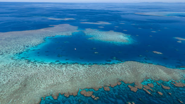 istock Aerial views of Duncan Reef, GBR, Australia 1639403464