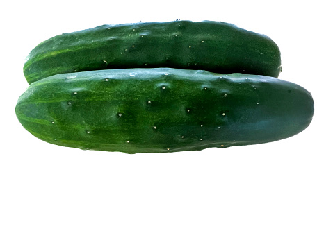 Cucumbers, field cucumbers, isolated on a white background, top view, copy space