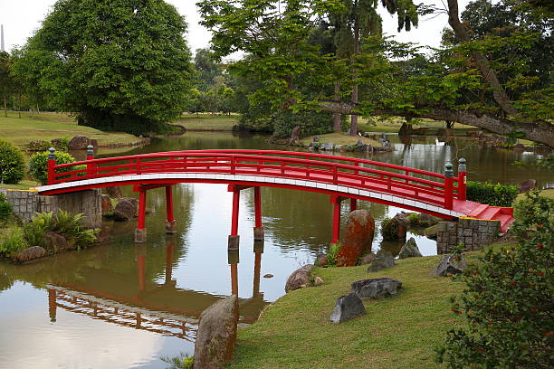 Scenic view in japanese garden with traditional red wooden bridge over pond in spring in France