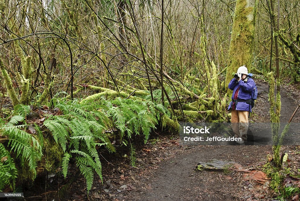 Fotografare un infermiere Log - Foto stock royalty-free di Adulto