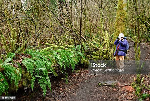 Fotografare Un Infermiere Log - Fotografie stock e altre immagini di Adulto - Adulto, America del Nord, Bellezza naturale