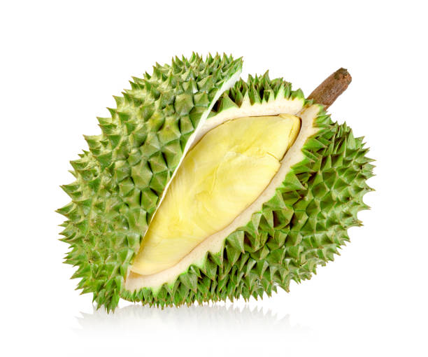 istock durian fruit isolated on white background ,Thai fruit 1639420614