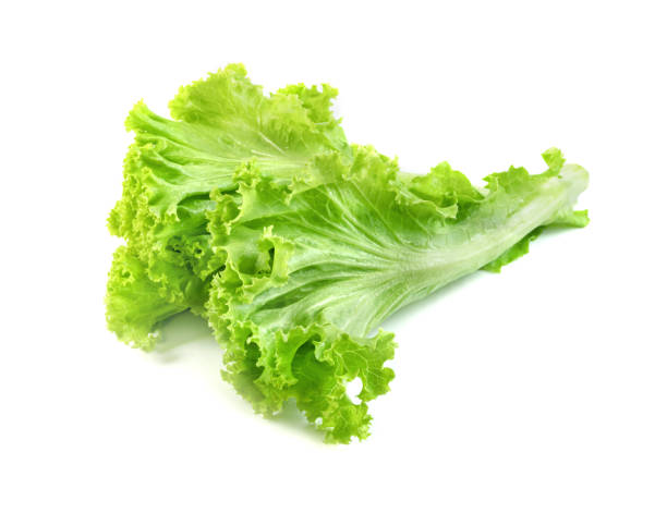istock Lettuce leaf isolated on white background ,Green leaves pattern ,Salad ingredient 1639431180