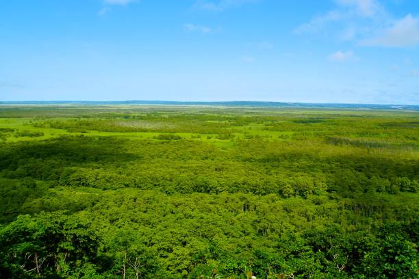 istock Landscape of Kushiro Wetlands 1639457471