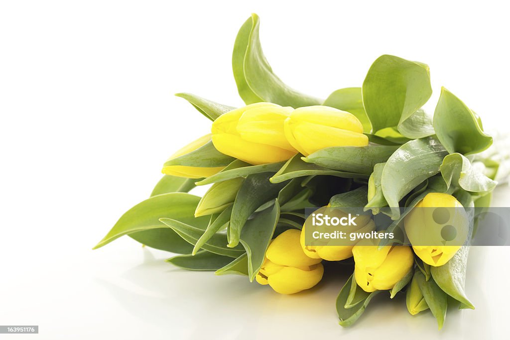 Ramo de tulipanes - Foto de stock de Abril libre de derechos