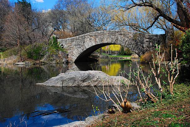 istock Quiet Moment at Gapstow Bridge, Central Park 163952328
