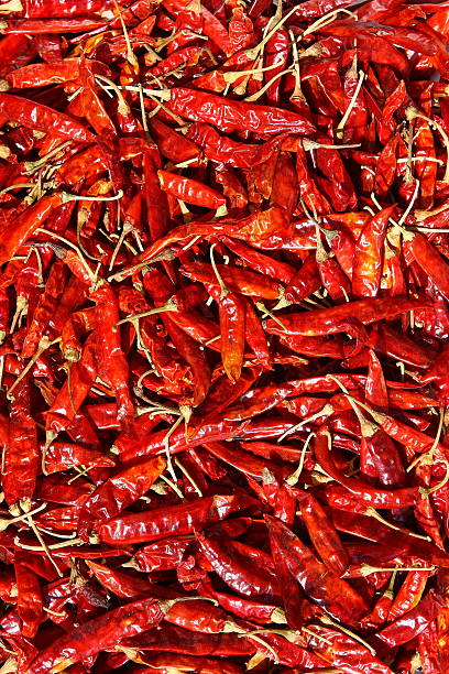 Red Chillies stock photo