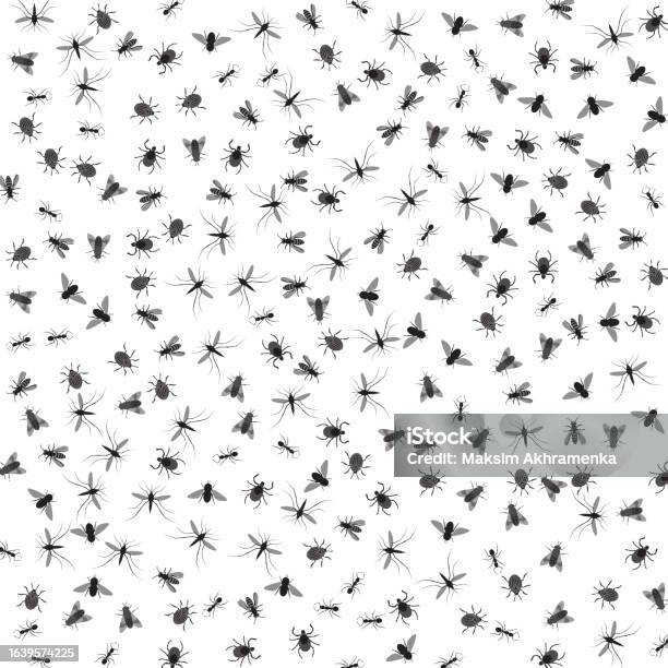 Vector Insect Study Background Vector Background With Insects Isolated On White Stock Illustration ...