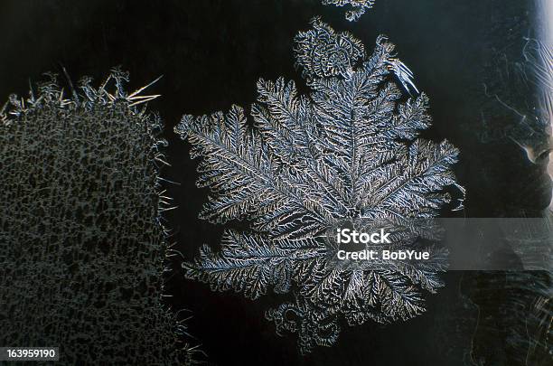 The Flower Of Ice Stock Photo - Download Image Now - Ecosystem, Extreme Close-Up, Horizontal