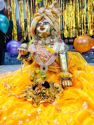 festival of Lord Krishna Janmashtami, celebrating Laddu Gopal Janmotsav .