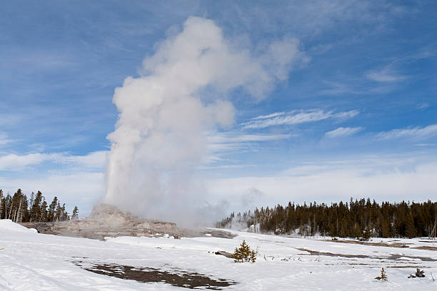 istock Castle Geyser Erupting, Yellowstone NP 163965131
