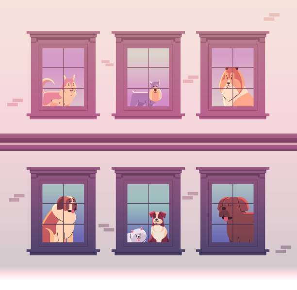 Happy national dog day greeting card various cute doggy looking out of apartment windows holiday of domestic animals vector art illustration