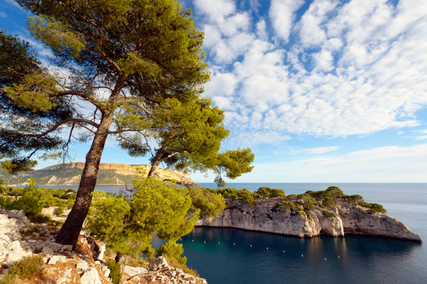 les calanques de cassis na cote d'azur - cote de azure zdjęcia i obrazy z banku zdjęć