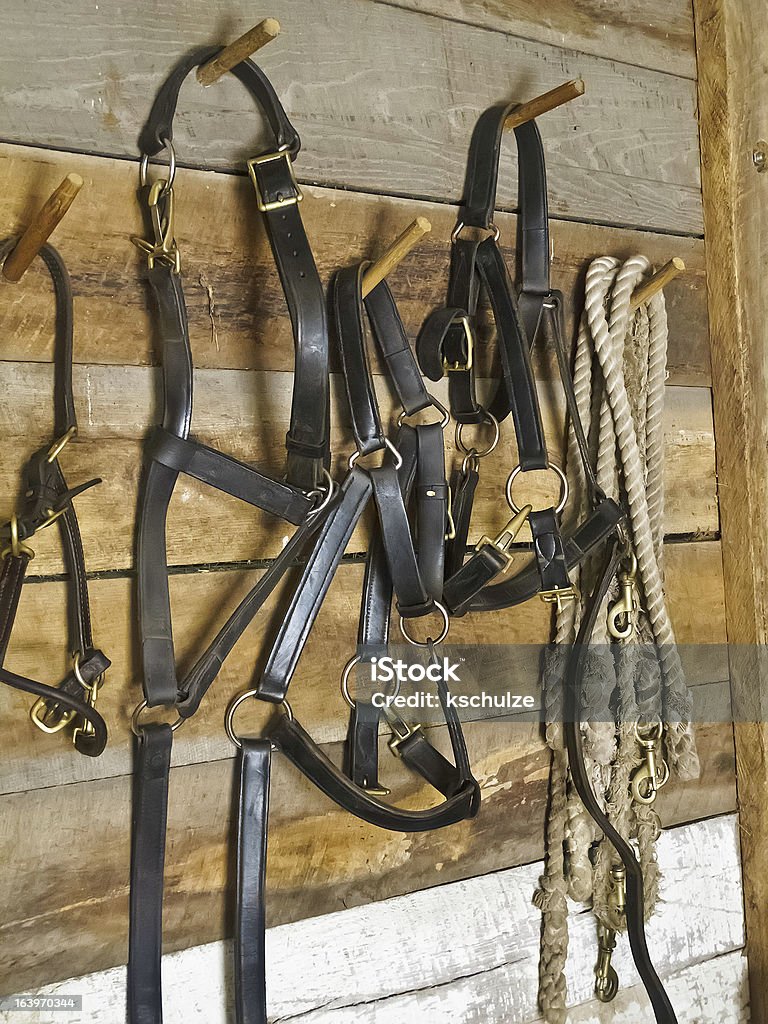 Equipamento de Equestre - Royalty-free Castanho Foto de stock