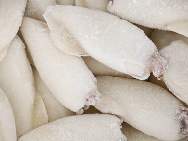 close up of frozen squid, cuttlefish or sepia, frozen seafood