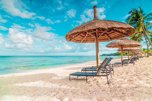 Savor the coast under a vibrant umbrella on a serene beach, where sun, sea, and relaxation embrace in perfect harmony.