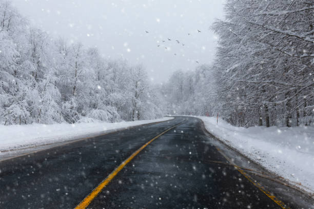 istock Snowy view of trees in winter 1639740170
