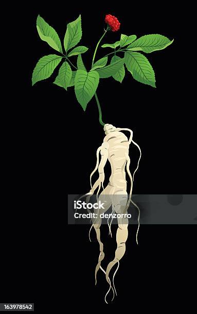 A Cartoon Ginseng On Black Blackground Stock Illustration - Download Image Now - Alternative Medicine, Berry, Botany