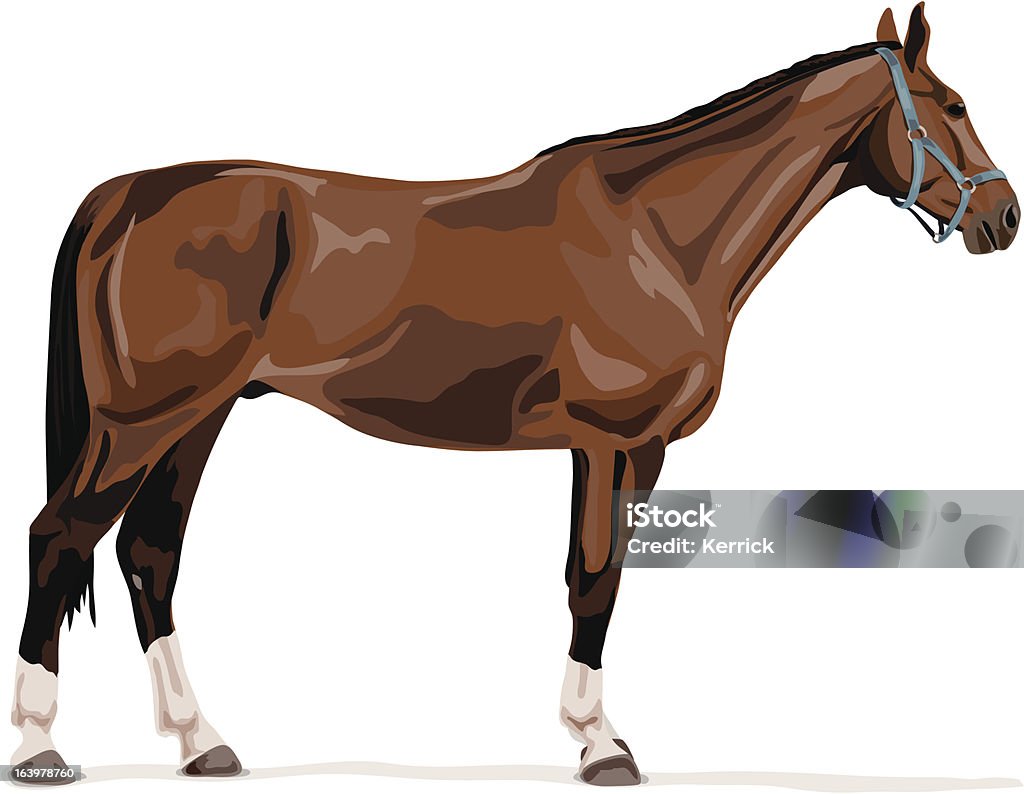 Independiente alemán warmblood caballos - arte vectorial de Alemania libre de derechos