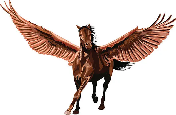 Vector illustration of brown pegasus horse galloping with open wings