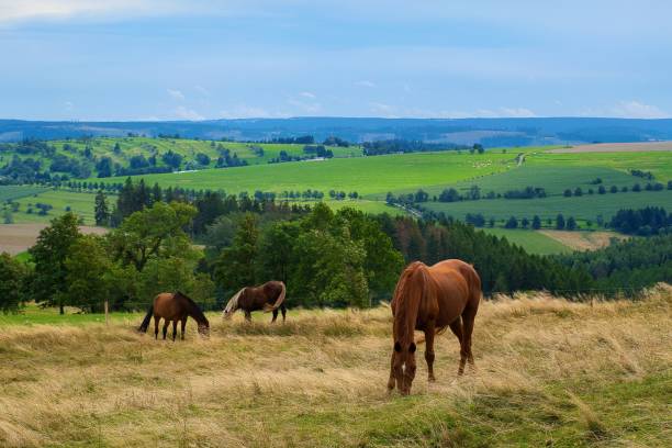 Summer is slowly coming to an end in Thuringia