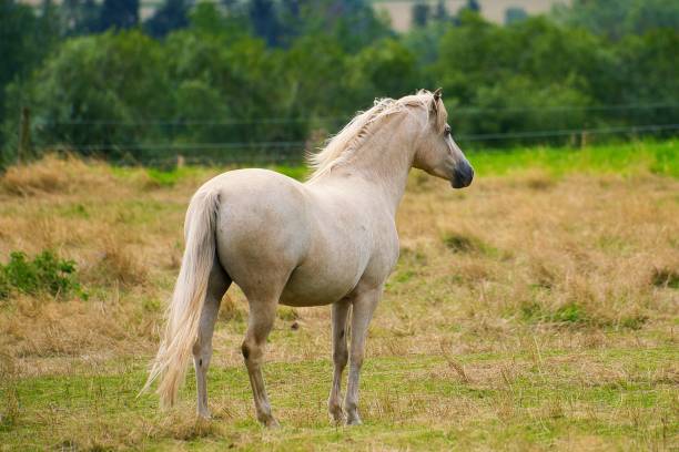istock Summer is slowly coming to an end in Thuringia 1639798912