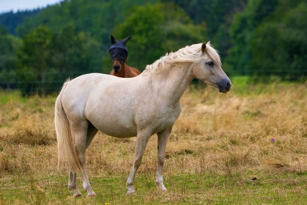 istock Summer is slowly coming to an end in Thuringia 1639799459