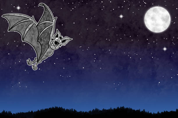 ilustraciones, imágenes clip art, dibujos animados e iconos de stock de ilustración de un murciélago de dibujos animados en el cielo nocturno con espacio de copia y estrellas - bat moon outdoors nature