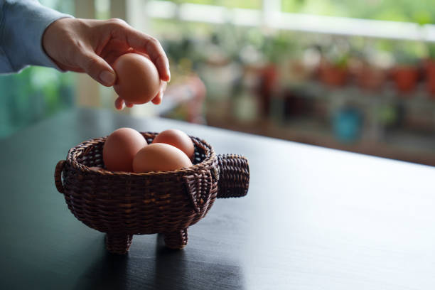 istock Don't put all your eggs in one basket 1639812614