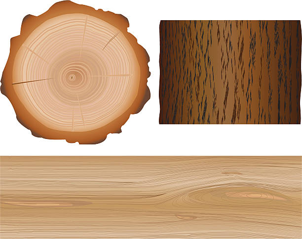 ilustrações de stock, clip art, desenhos animados e ícones de elementos de madeira - wood lumber industry tree ring wood grain