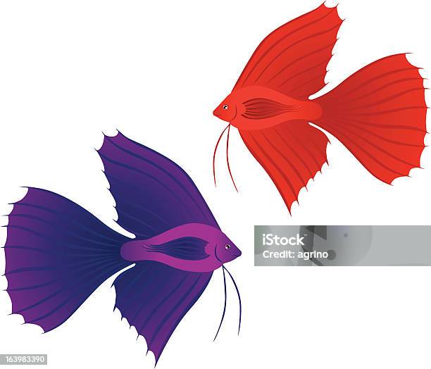 Splendens Betta の魚 - 2匹のベクターアート素材や画像を多数ご用意 - 2匹, イラストレーション, エラ