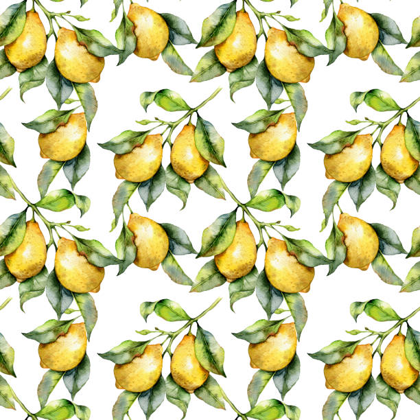 istock Elegant floral Seamless pattern with watercolor lemons. Seamless lemons background. Citrus Pattern 1639835414