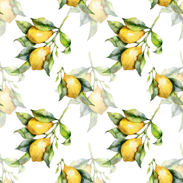 istock Elegant floral Seamless pattern with watercolor lemons. Seamless lemons background. Citrus Pattern 1639835832