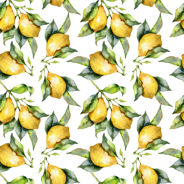 istock Elegant floral Seamless pattern with watercolor lemons. Seamless lemons background. Citrus Pattern 1639835923