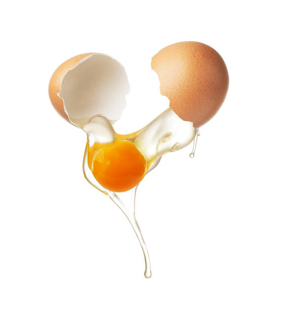 Chicken egg shell cracked in half,  egg yolk and white dropping out