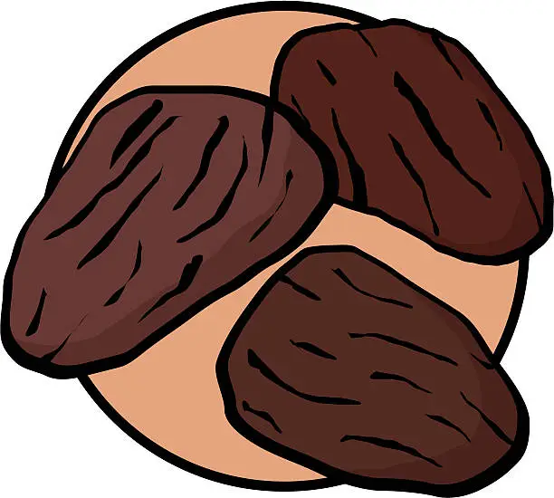 Vector illustration of raisins