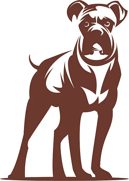 Vector illustration of Dog Boxer