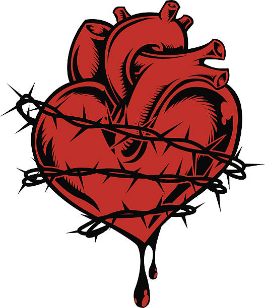 sacred serca - heart shape human vein love human artery stock illustrations