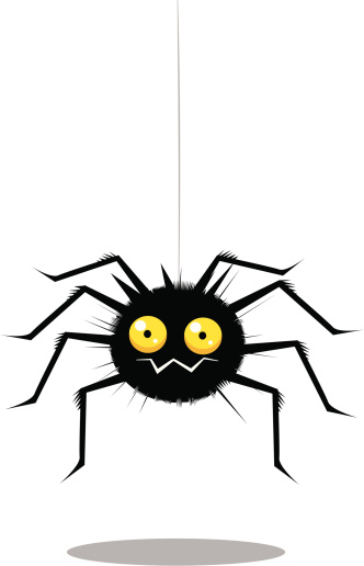 Funny spider