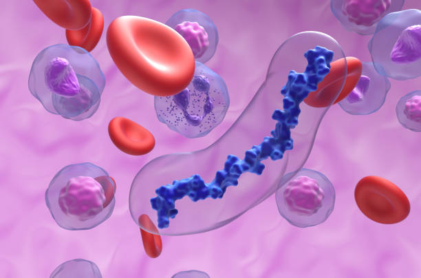 istock Heparin (UFH) anticoagulant molecules in the blood flow - closeup view 3d illustration 1639862766