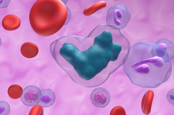 istock Methotrexate acid in the blood flow - closeup view 3d illustration 1639863321