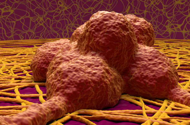 istock Neuron cells in the human nervous system - 3d illustration closeup view 1639863364