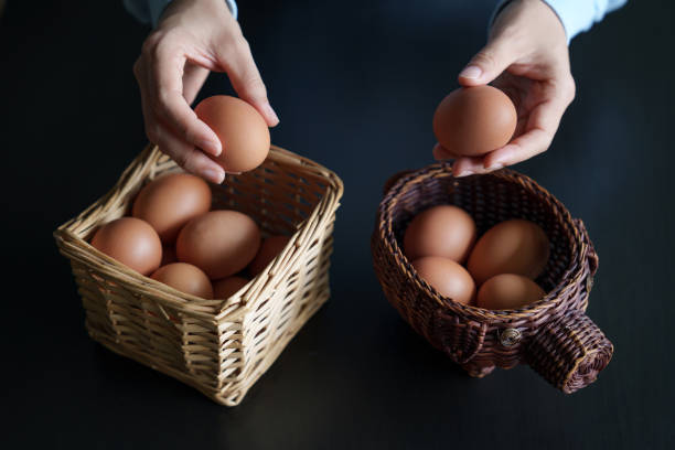 Don't put all your eggs in one basket