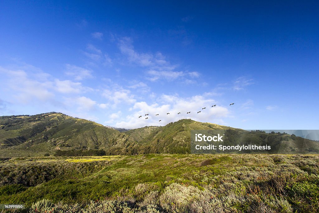 Big Sur - Foto stock royalty-free di Collina