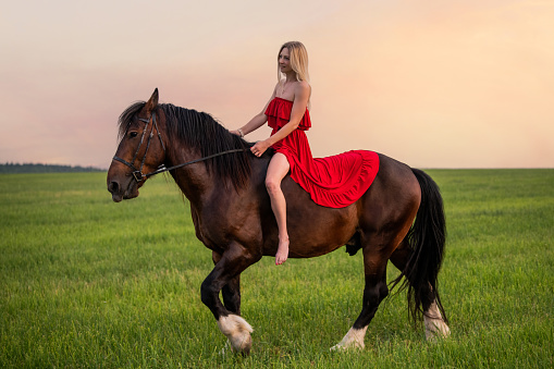 young woman in a red dress walks with a horse in a field at sunset