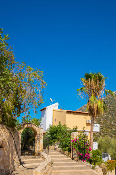 istock Elegant Villa Oasis: Tranquil Retreat Amidst Palm trees in Bali, Crete _5 1639951927