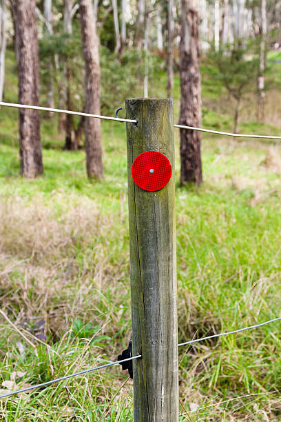 polo de madera con reflejo de la señal roja - wooden post wood grass string fotografías e imágenes de stock