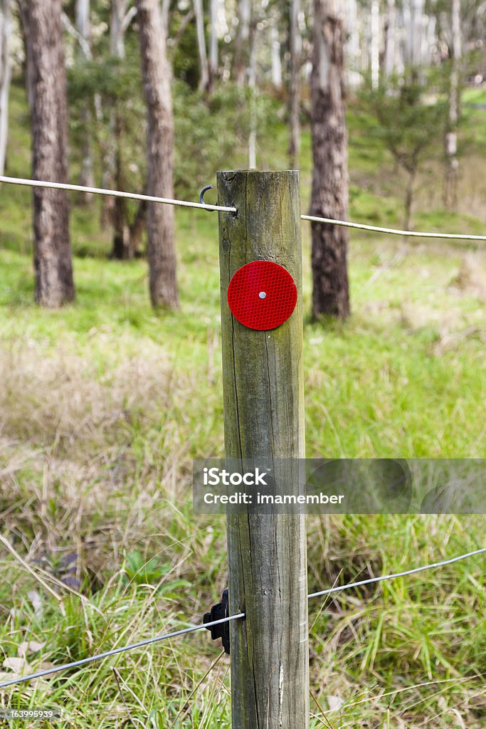 Bastone di legno con segnale di stop rosso riflesso - Foto stock royalty-free di Agricoltura